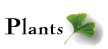 Plants