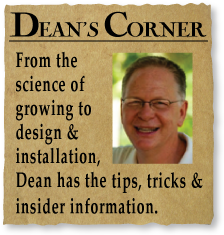Dean's Corner