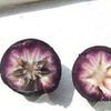 Star apple