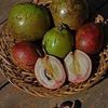 Star Apple 