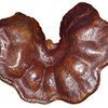 Dried fruit  "Ear" 