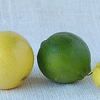 sweet lime, lime, key lime 