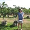 Malagueña Orange at Cocobolo Tree Farm 