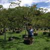 Malinche 